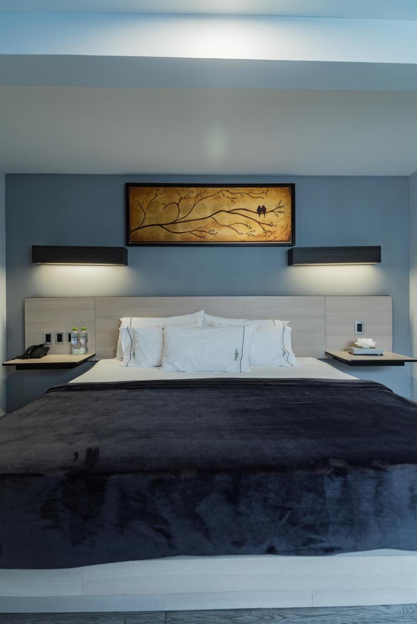 Hotel Lemon Green -Zona Expo Frente Al Centro De Convenciones 瓜达拉哈拉 外观 照片
