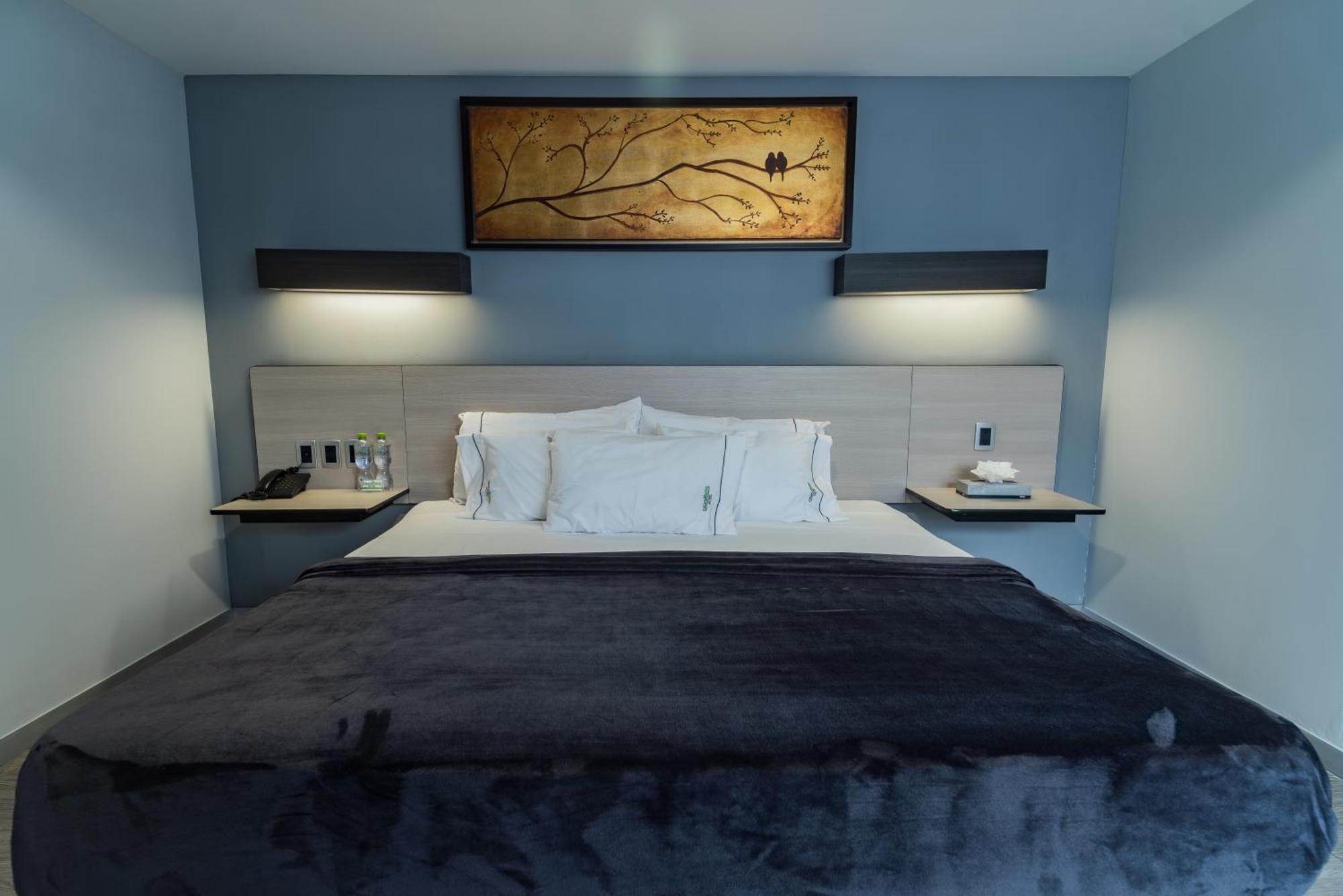 Hotel Lemon Green -Zona Expo Frente Al Centro De Convenciones 瓜达拉哈拉 外观 照片