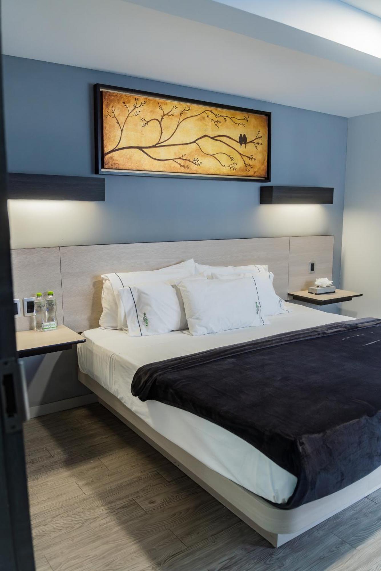 Hotel Lemon Green -Zona Expo Frente Al Centro De Convenciones 瓜达拉哈拉 外观 照片