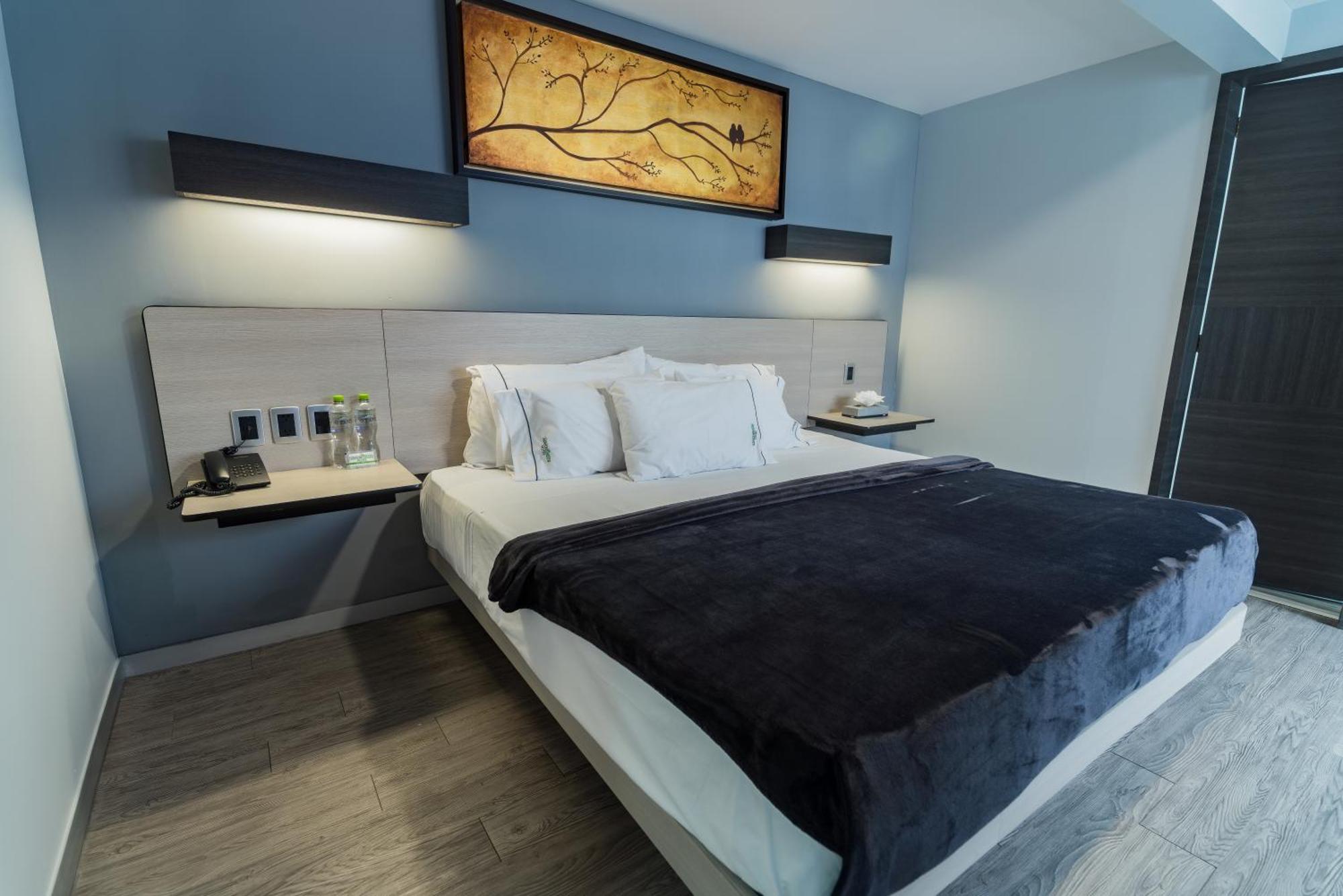 Hotel Lemon Green -Zona Expo Frente Al Centro De Convenciones 瓜达拉哈拉 外观 照片
